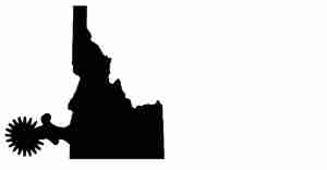 Alana Erickson company logo